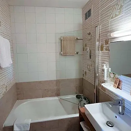 Perdrix Hotel Super Besse
